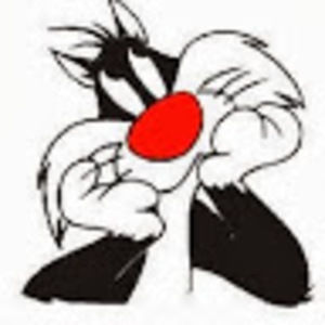 Meet your Posher, Loryn